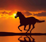 * + Sunset Riders + *