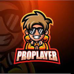 Pro Group Koledzy