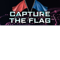 capture the flag!