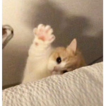 CYB3RG0THZ