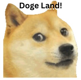 Doge Land!