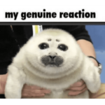 Doyrobux_xd