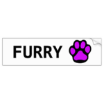 All Furries Welcome