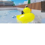 wellcome to ducks lol