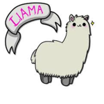 Llama Family Forever