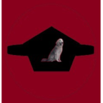Deer College Occultist Force