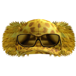 Y2K Fuzzy Leopard Cap w/ Shades (LIMITED)