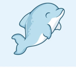 Dazzling Dolphins!
