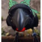 OsGurí