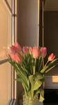 Lyloucyas RBLX
