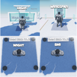 Avatar Measurements