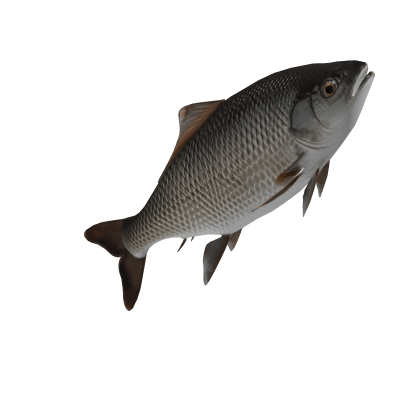 Mini Fish (For Mini Plush) Roblox item