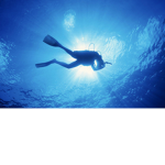 Dive Studios Ltd.