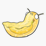 Banana slugs club
