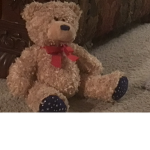 Teddy bear studio!