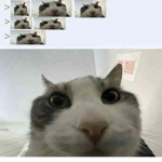 S3R4PH1M