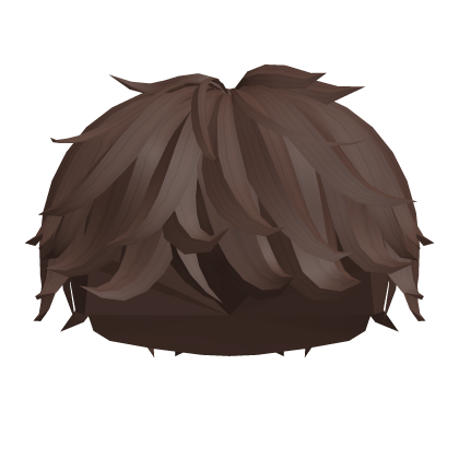 Brown Fluffy Messy Boy Hair