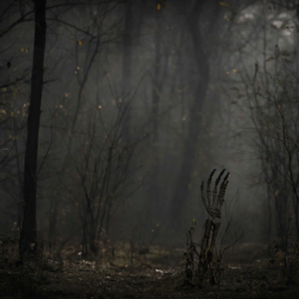 Dead Decaying Forest