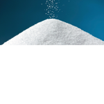 The Salty Humans