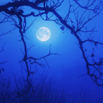 Cerulean Moonrise
