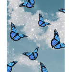 The_Butterfly_Church