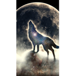 Midnight Wolf's Adventure