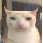 XIIV