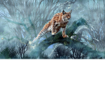 LYNX_CLAN Official