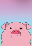 poppy pigs