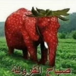 ##gug