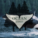 *. The team orcas.*