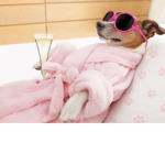 Little Lux Spa