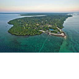 Mafia Training Island