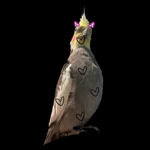 grupito kawai :3