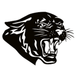 Top Secret Panthers