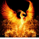 PhoenixForHire