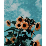 - summer 4ever -