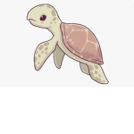 ~TurtleSquad~