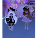 Xo Baileyi