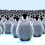Penguins Army.