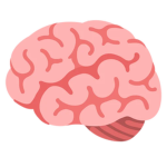 BigBrain Devs