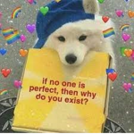 If no one is perfect, why do you exist?