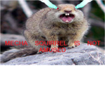 We LOVE squirrels!!!