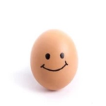 Gameregg