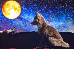 Midnight the Fox