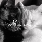 purrbell
