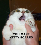 The Group Who Loves Kitties