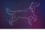 Coco StarzZ