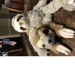 My Sloth Queens - It’s ok if your not-