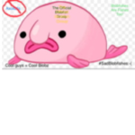 The Official Blobfish Group